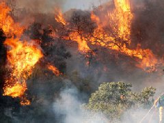 洛杉磯爆發(fā)史上最大山火，宣布進(jìn)入緊急狀態(tài)